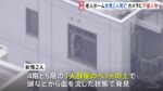 レス1番のリンク先のサムネイル画像