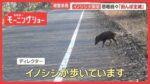 レス1番のリンク先のサムネイル画像
