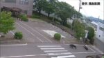 レス1番のリンク先のサムネイル画像