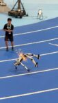 レス47番のリンク先のサムネイル画像