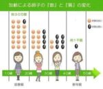 レス30番の画像2