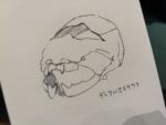 レス24番の画像3