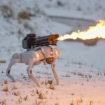 レス18番の画像1
